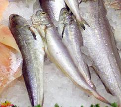 pescado_contra_alzheimer.jpg