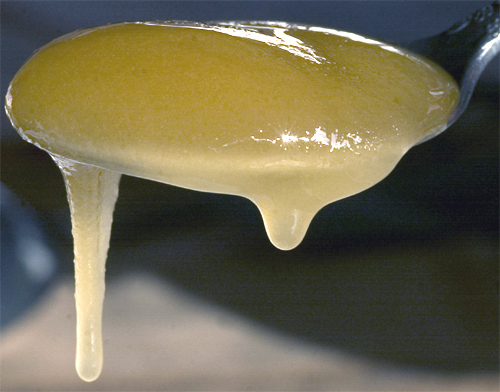 caramelo_bifidus.jpg