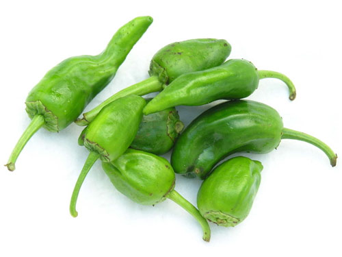 Pimientos de Padrón Pimientos de Galicia