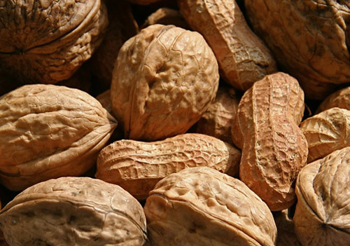 EFSA