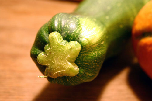 Plomo en las verduras Contaminación por plomo