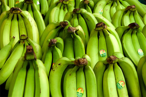 Envases plásticos biodegradables obtenidos a partir de residuos de frutas FruitPlastic