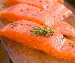 ¿El salmón transgénico, primer alimento animal aprobado por la FDA? Salmón modificado genéticamente