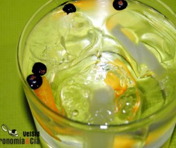 Gin Tonic Botánico