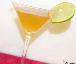 Calvados Sour