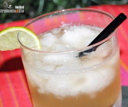 Gin & Gin con limón granizado