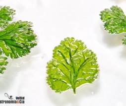 Freír hierbas aromáticas en el microondas
