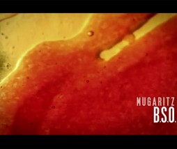 Mugaritz B.S.O. Andoni Luis Aduriz