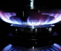 Cocinar a fuego vivo