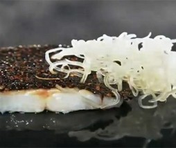 Quinoa negra que imita la piel del pescado Mugaritz