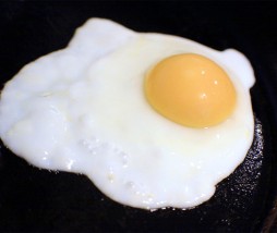 Oeuf au miroir
