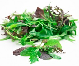 Mesclun o Mezclum Mesclun o Mezclum