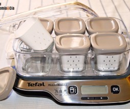 Yogurtera Multi Delices Yogur casero