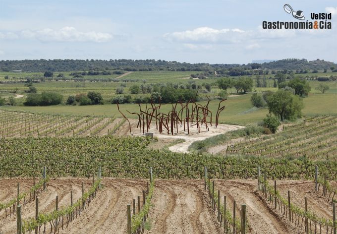 Bosque hierro y viñedos