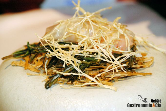 Madrid Fusión 2011 en imágenes (I)