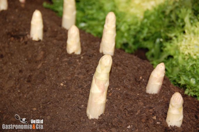 Navarra Gourmet Vive las Verduras en imágenes