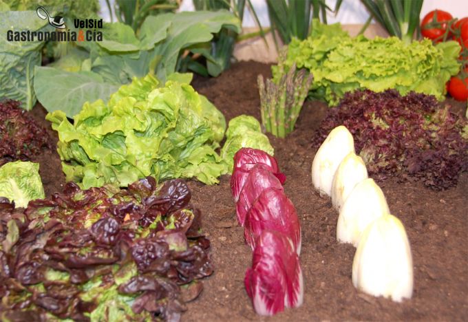 Navarra Gourmet Vive las Verduras en imágenes