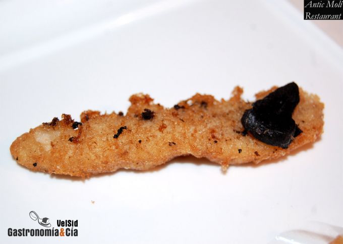 Menú degustación Descubre la Galera