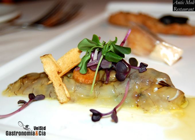 Menú degustación Descubre la Galera