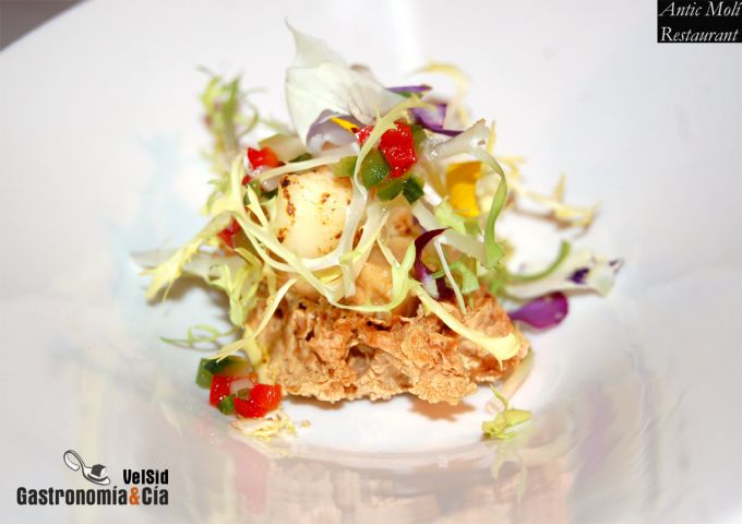 Menú degustación Descubre la Galera