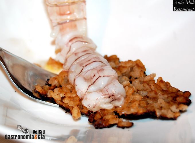 Menú degustación Descubre la Galera