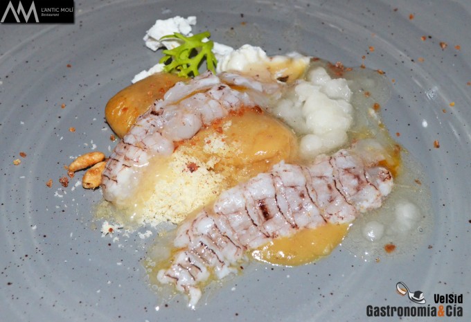 Jornadas de la Galera 2016