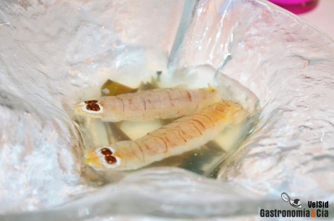 Jornadas de la Galera 2017