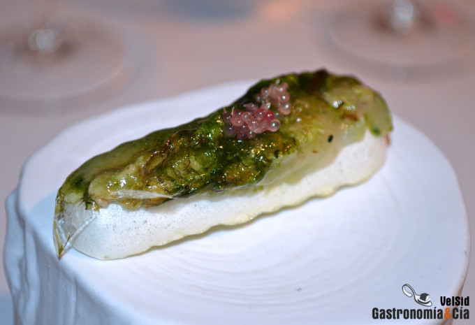 Jornadas de la Galera 2017