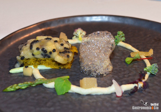 Jornadas de la Galera 2017