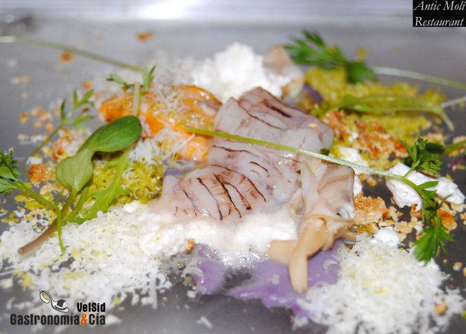 Restaurante L Antic Molí