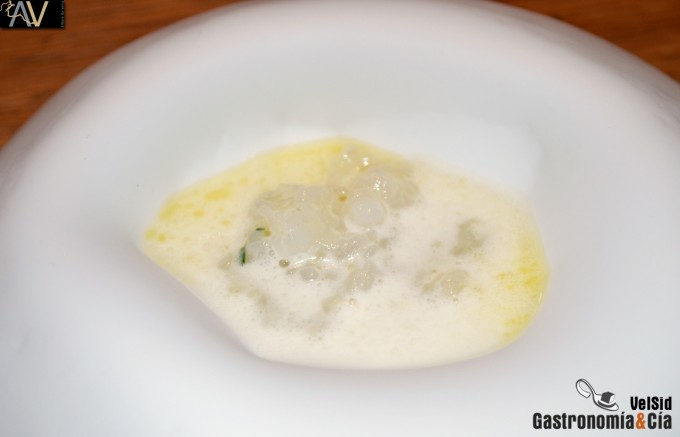 Árbore da Veira de Luis Veira