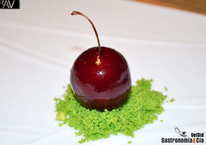 Árbore da Veira de Luis Veira