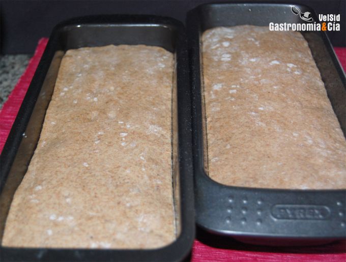 Biscotes de centeno y linaza