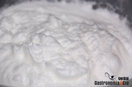 Bizcocho de coco y chocolate