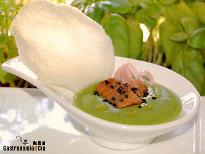 Crema de calabacín y wasabi con atún y gari