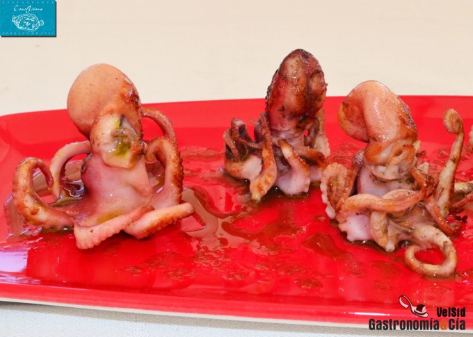 Casa Jaime. Agosto 2014