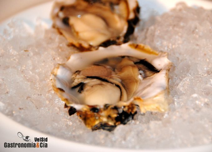 Mariscos y Pescados de Galicia