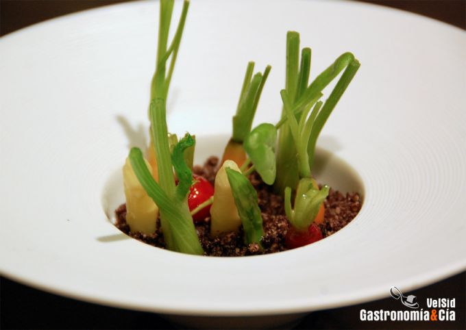 Lo Mejor de la Gastronomía 2009