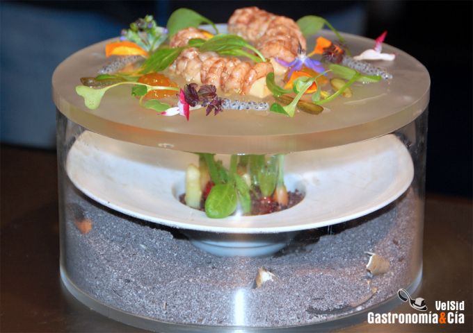 Lo Mejor de la Gastronomía 2009