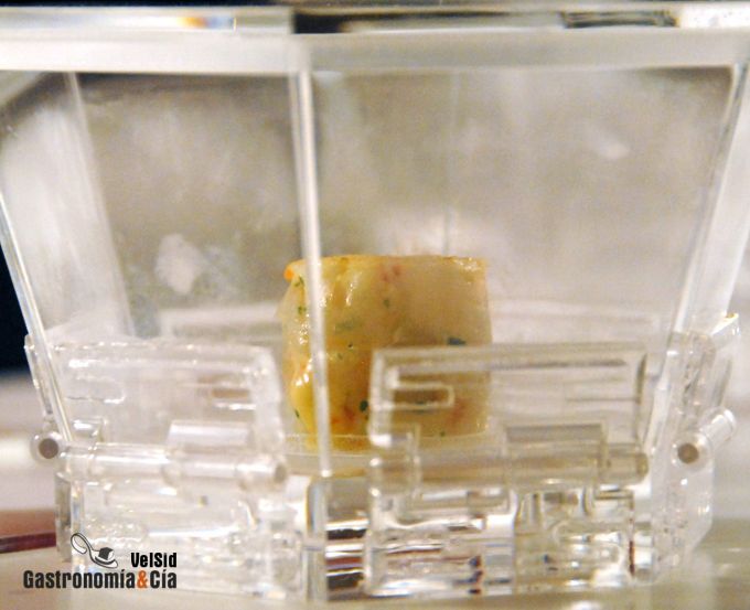 VI Concurso Nacional de Pinchos