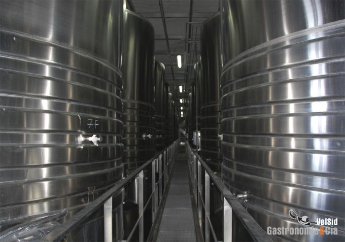 Nivel intermedio depósitos de acero de vino