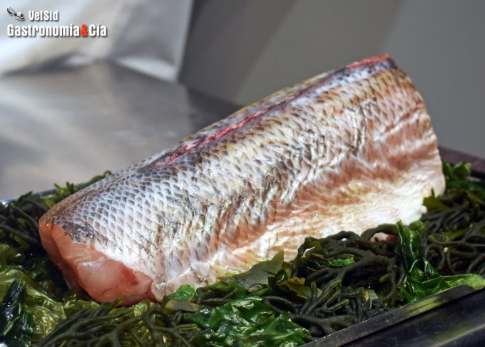 Cristóbal Muñoz (Ambivium, Peñafiel)