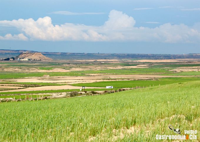 Parque Natural de las Bardenas Reales