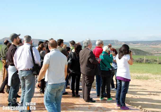 Parque Natural de las Bardenas Reales