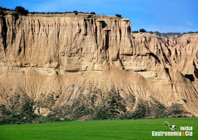 Parque Natural de las Bardenas Reales