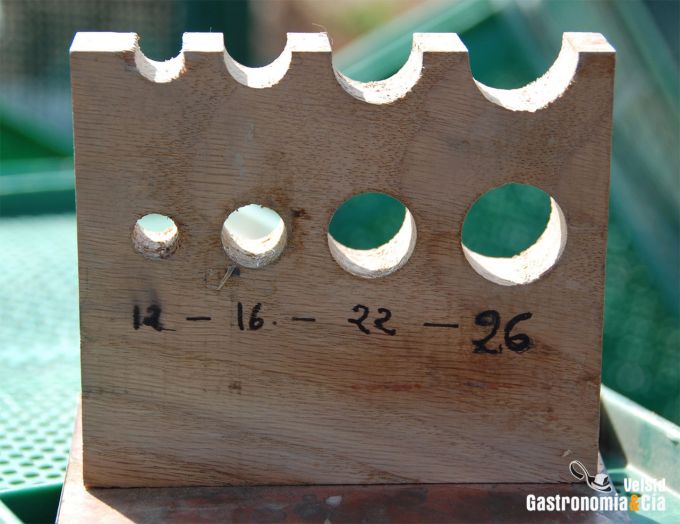 Espárrago de Navarra y Alcachofa de Tudela