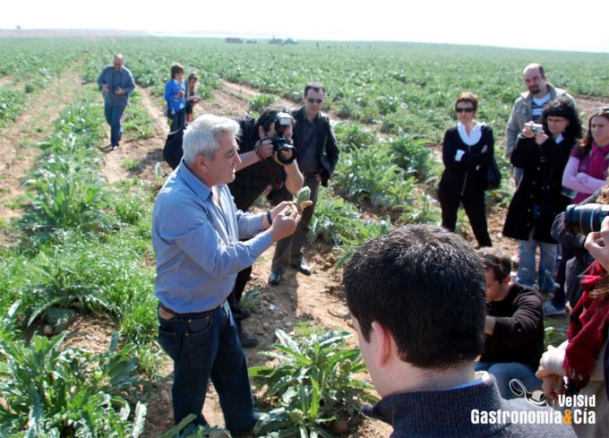 Espárrago de Navarra y Alcachofa de Tudela