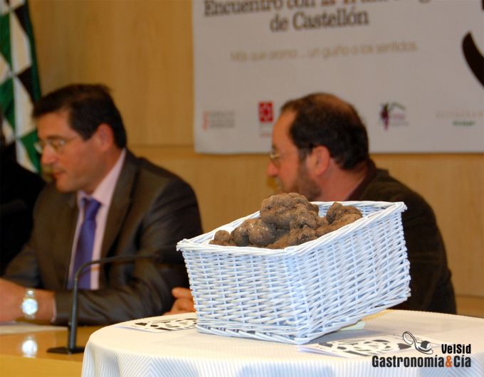 Encuentro con la Trufa Negra de Castellón
