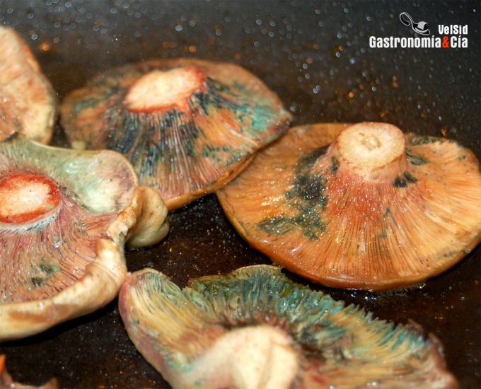 Entrecot al romero con níscalos