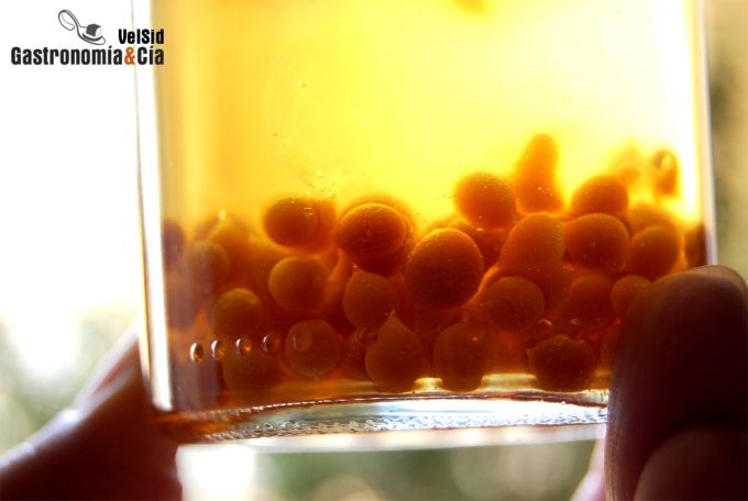 Salmón marinado con caviar de soja